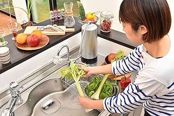 SESERA 据置型浄水器 サイテックス（せせら）足踏みポンプセット Amazon | SESERA 据置型浄水器 サイテックス（せせら）足踏み